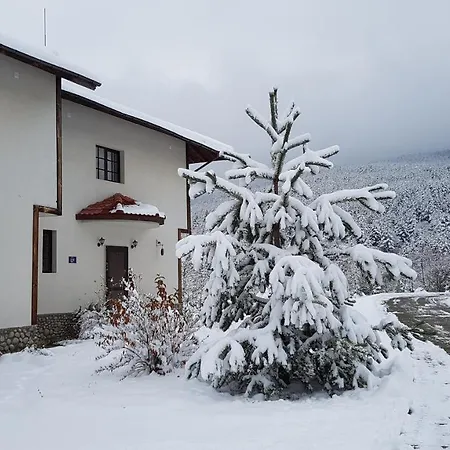 Pinerose 4* Bansko