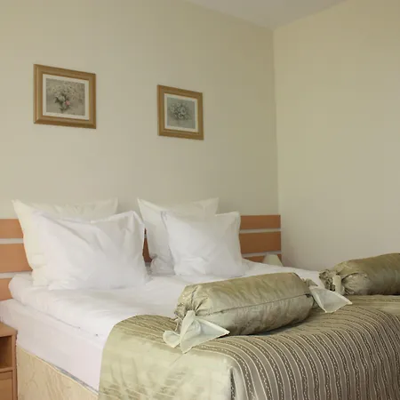 Hotel Pinerose Bansko