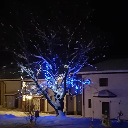 Hotel Pinerose 4*
