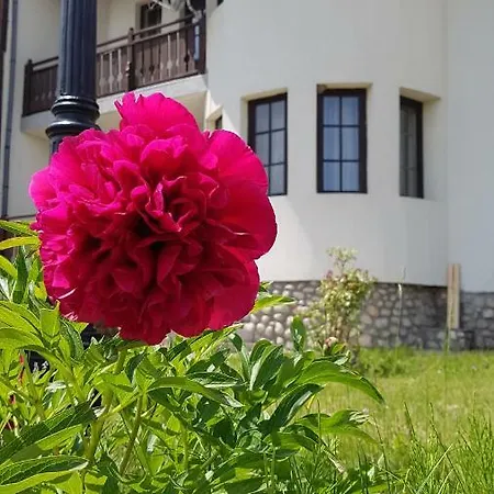 Pinerose Otel Bansko