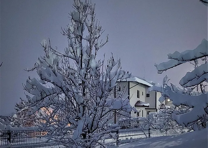 Hotel Pinerose Bansko