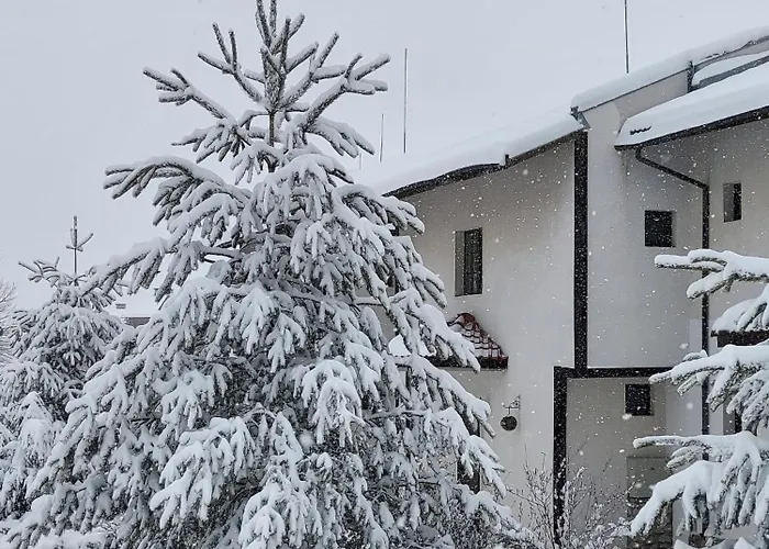 Hotel Pinerose Bansko