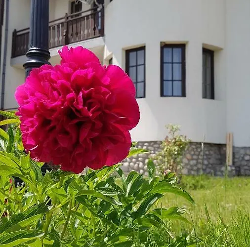 Pinerose Hotel Bansko